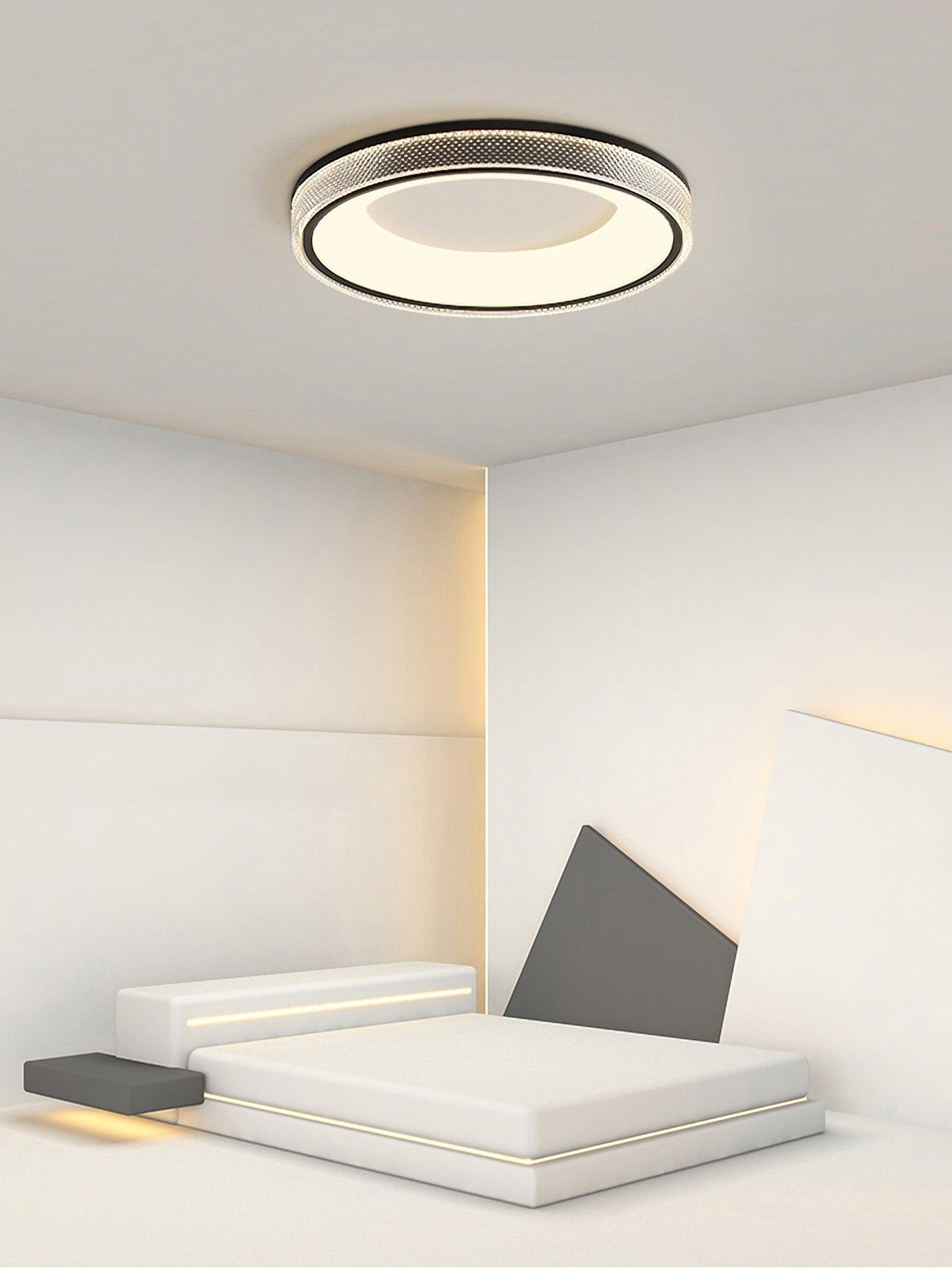 Round Shape Flush Ceiling fixture Ceiling Light