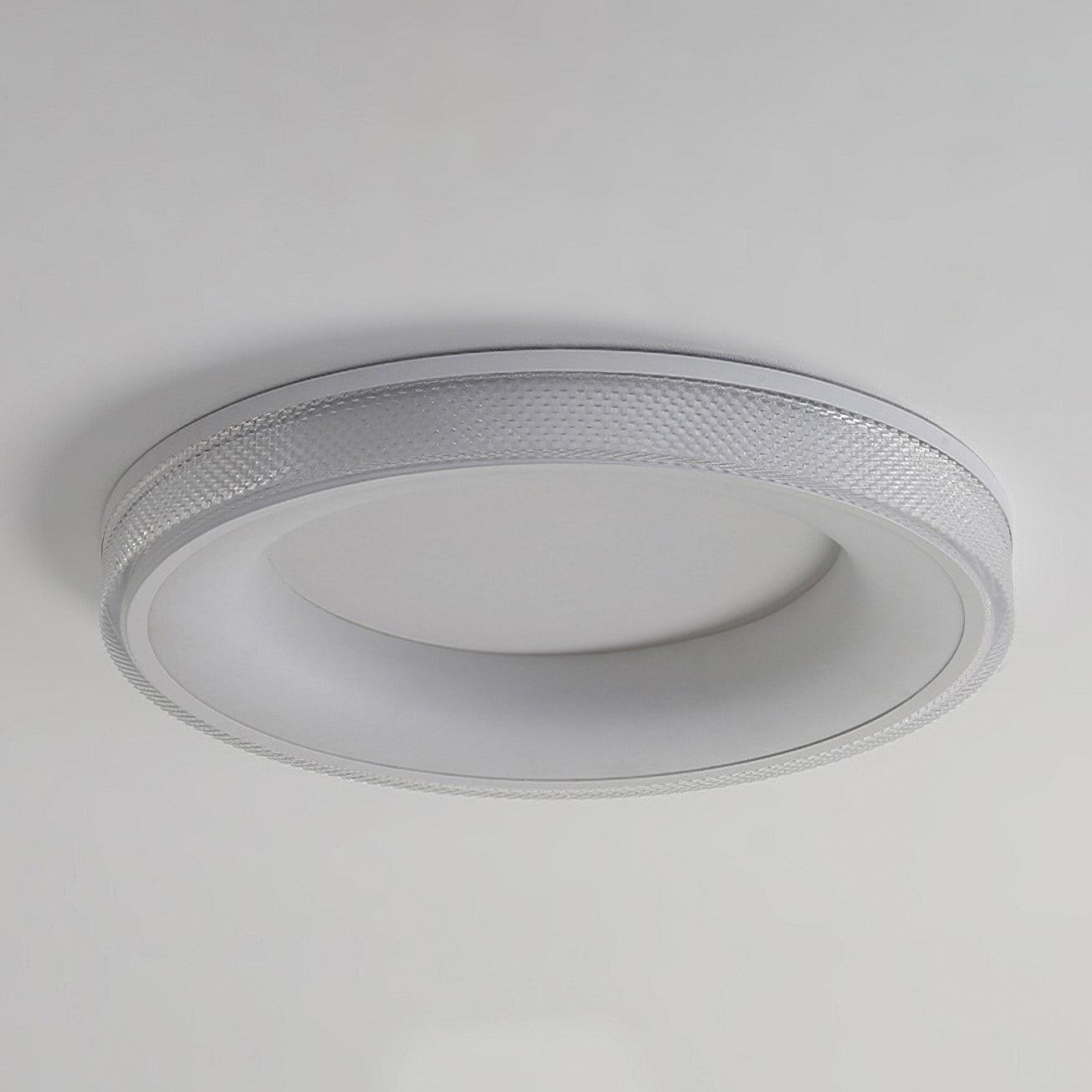 Round Shape Flush Ceiling fixture Ceiling Light