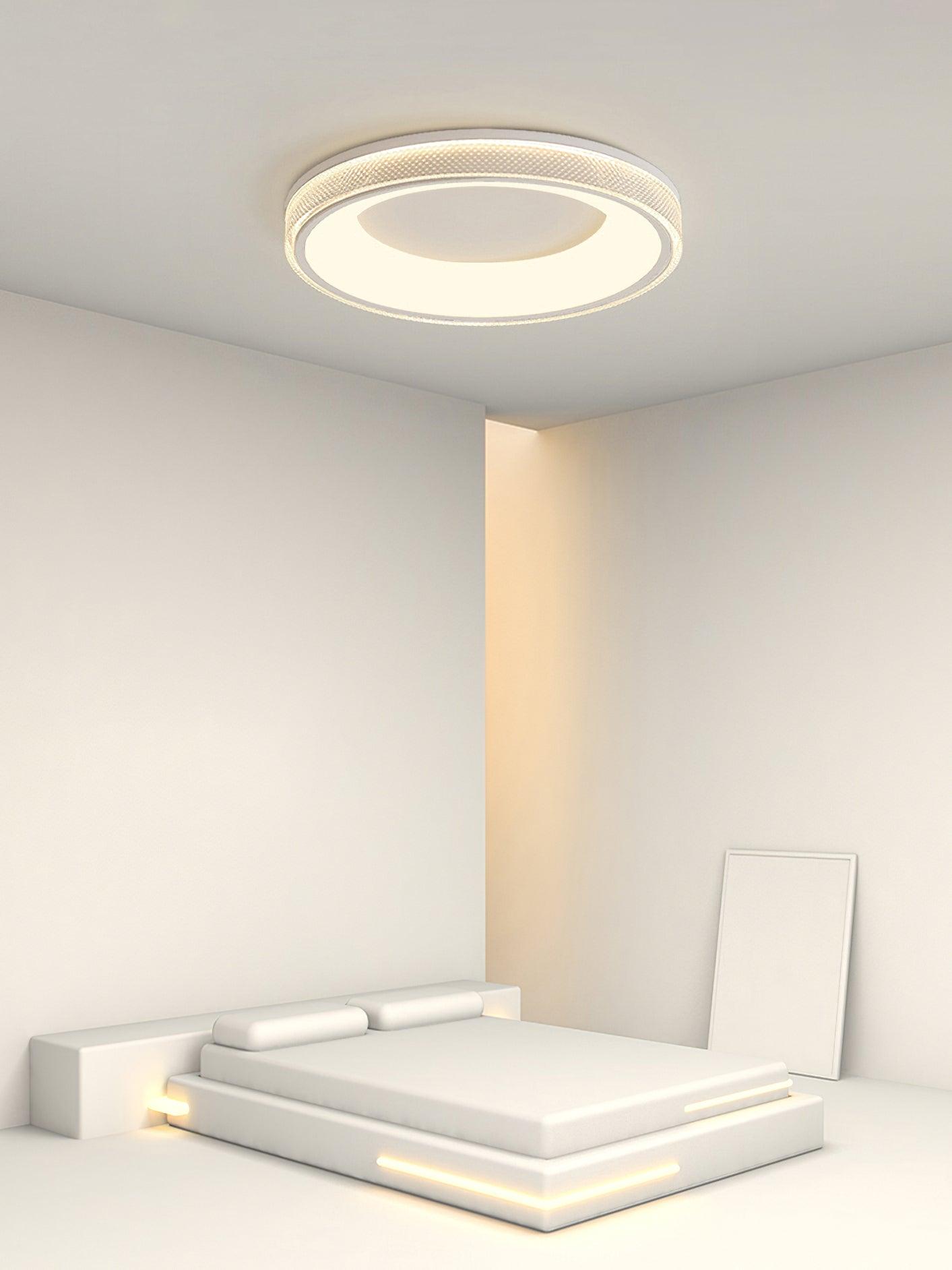 Round Shape Flush Ceiling fixture Ceiling Light