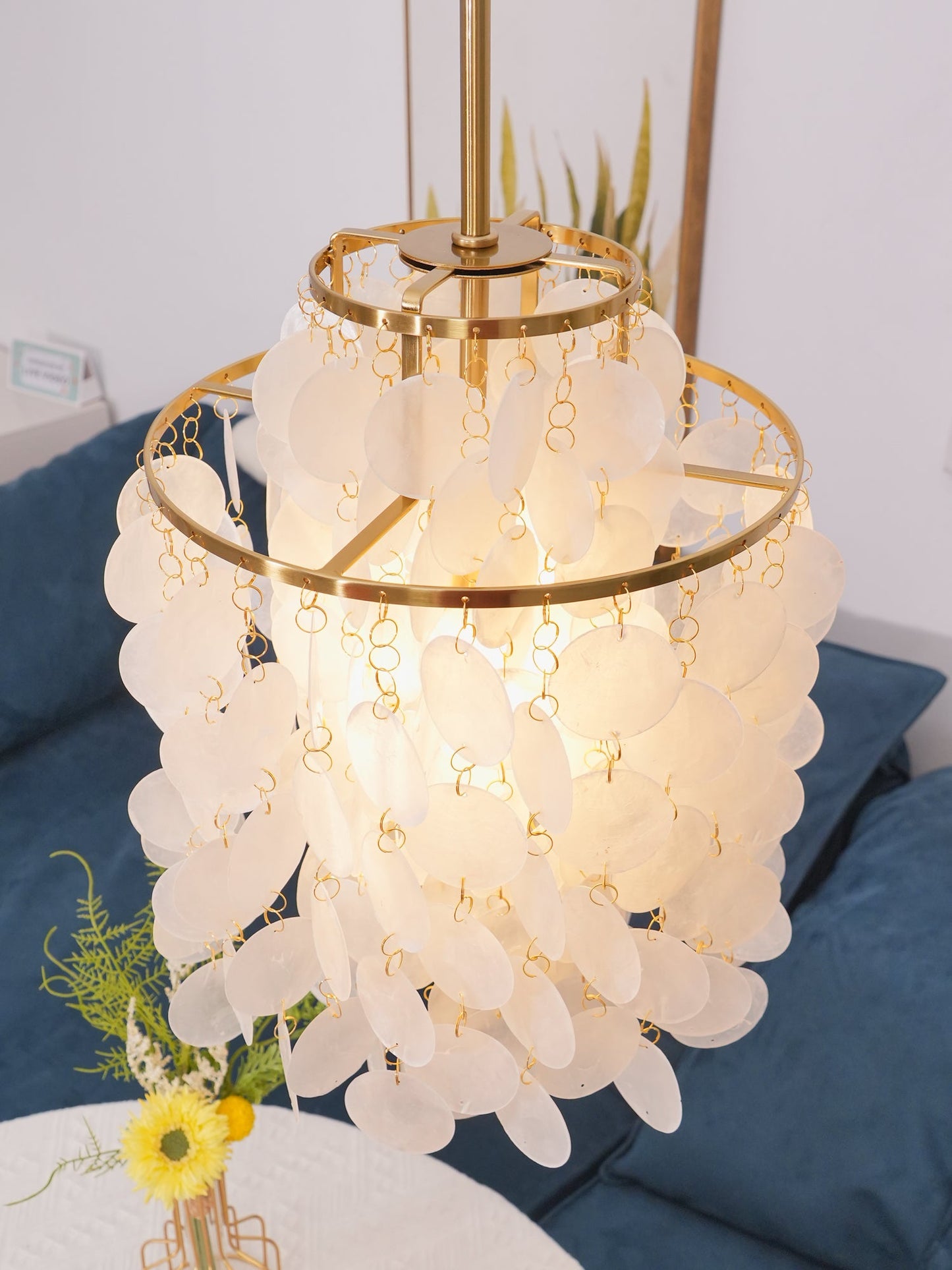 Round Shell Pendant light Chandelier