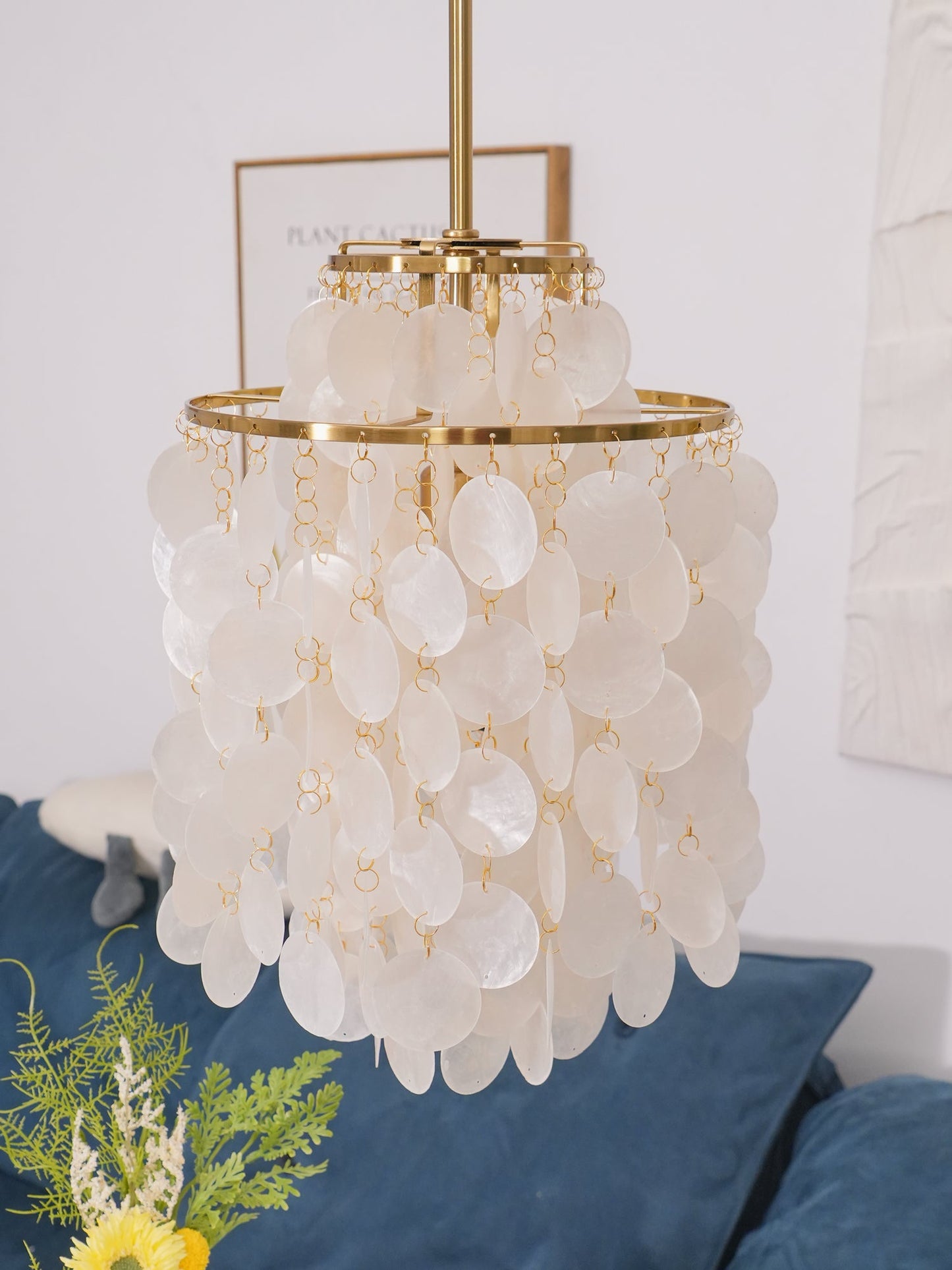 Round Shell Pendant light Chandelier