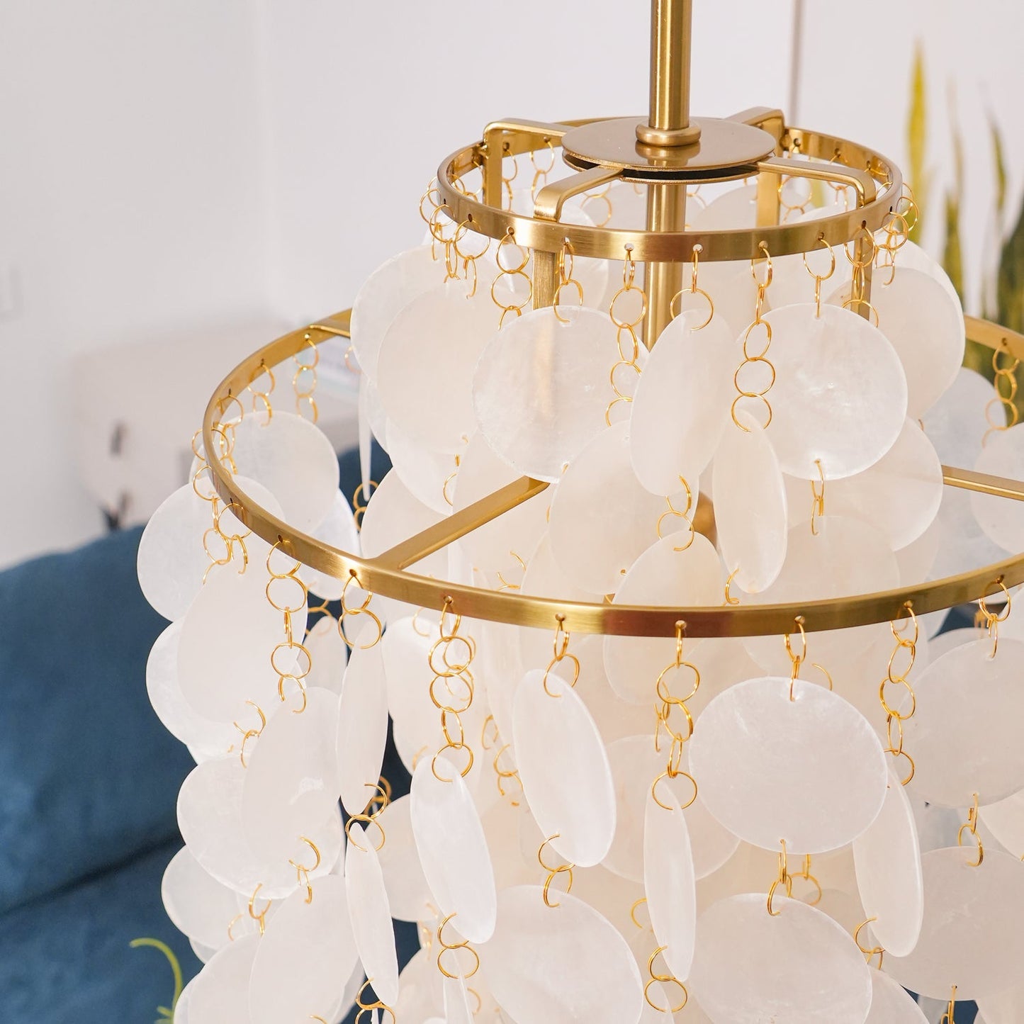 Round Shell Pendant light Chandelier