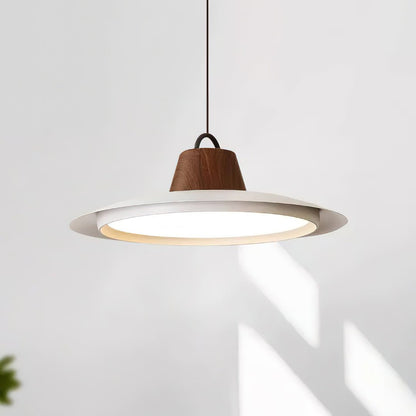 Ruile Houselight Pendant Lamp