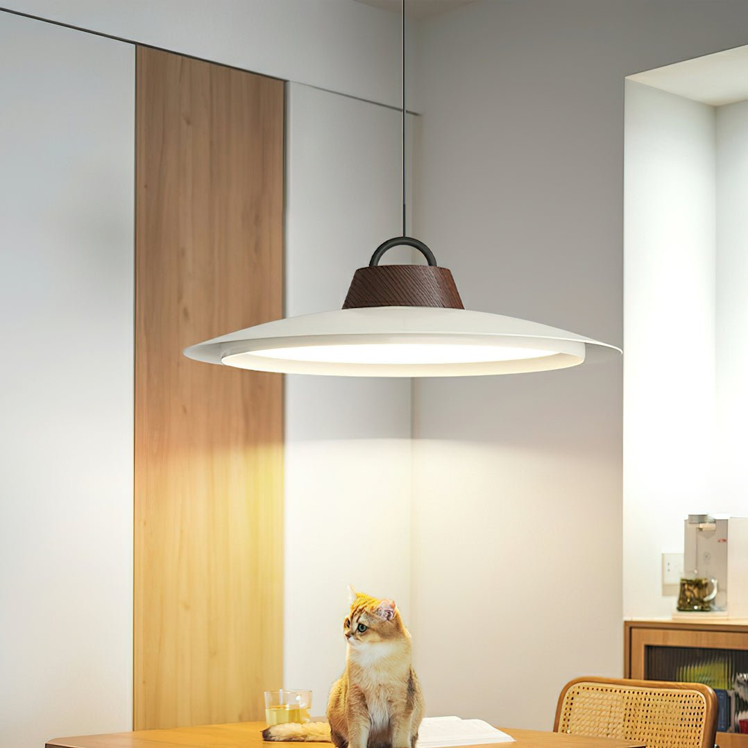 Ruile Houselight Pendant Lamp