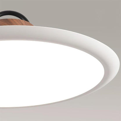 Ruile Houselight Pendant Lamp