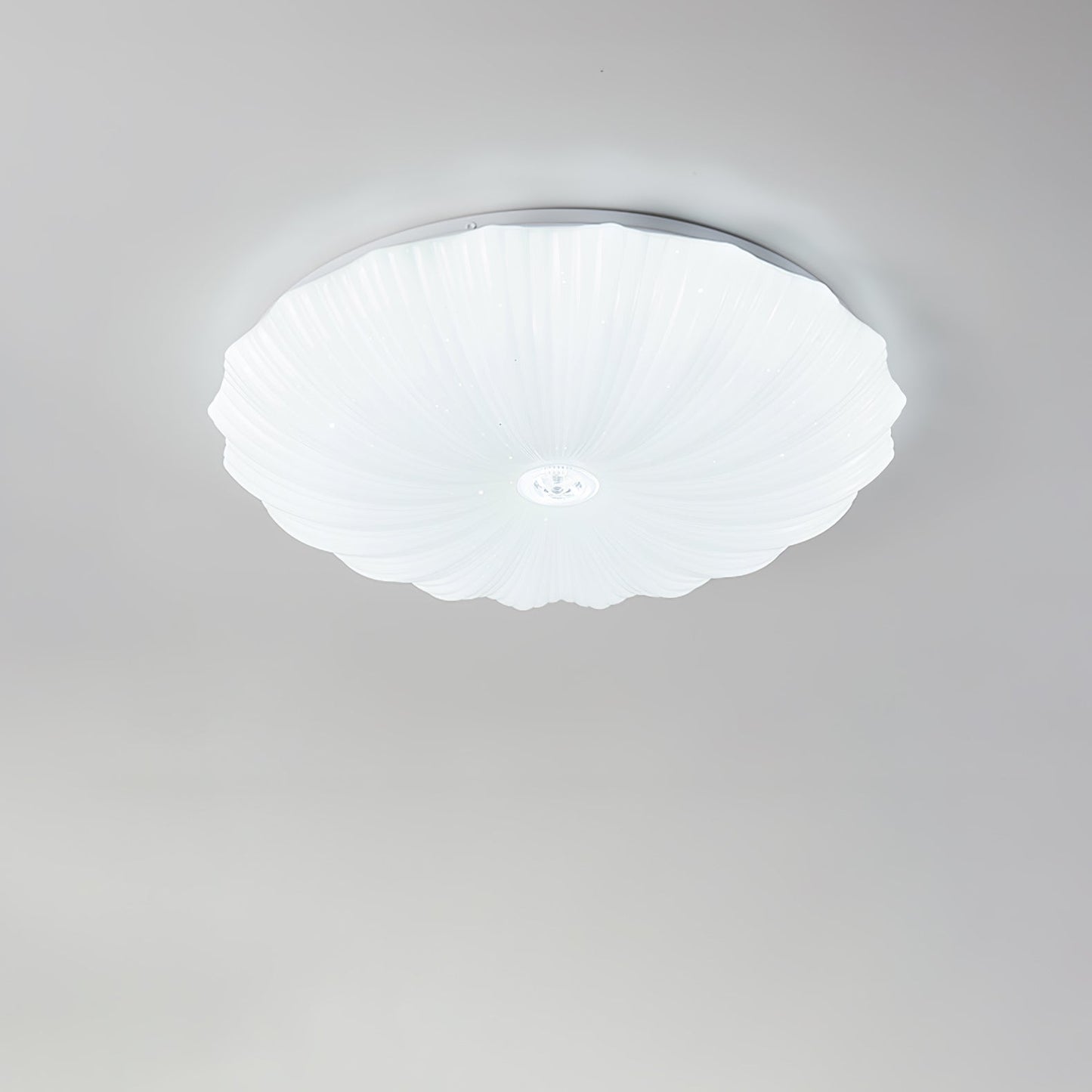 Acrylic Shell Round Overhead fixture Ceiling Lamp