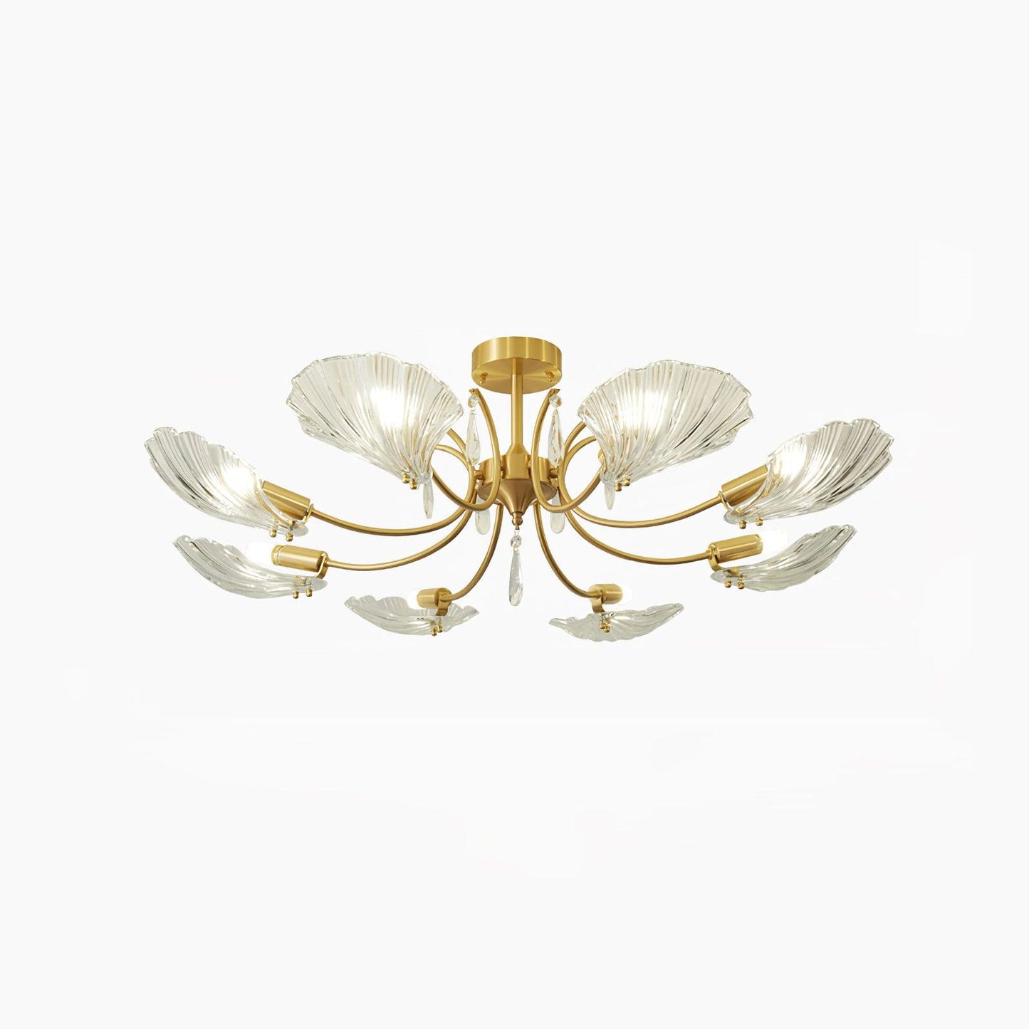 Shell Brass Overhead light Ceiling Lamp