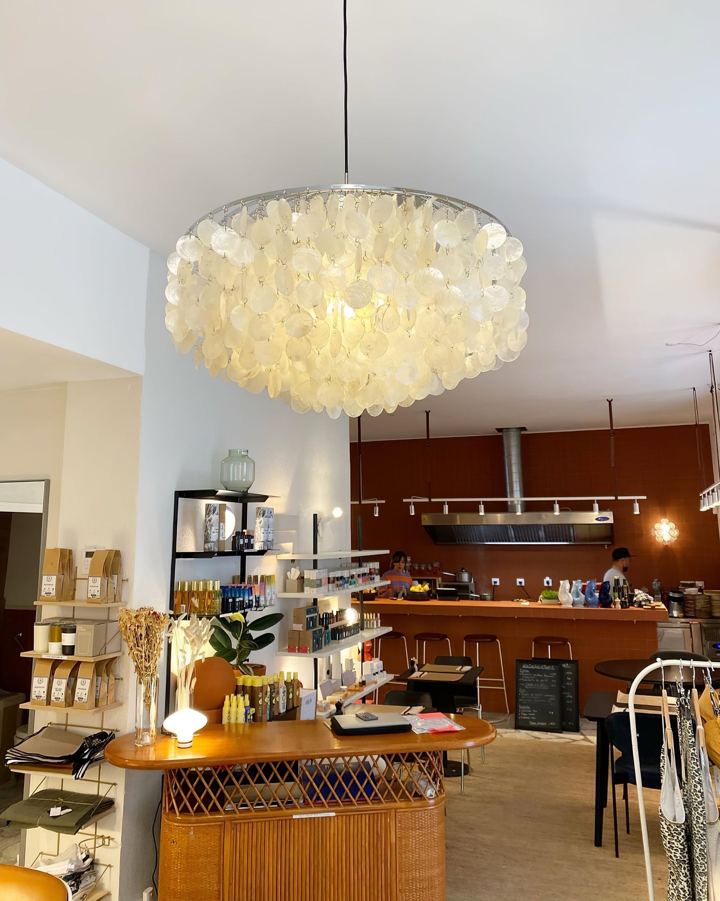 Round Shell Pendant light Chandelier