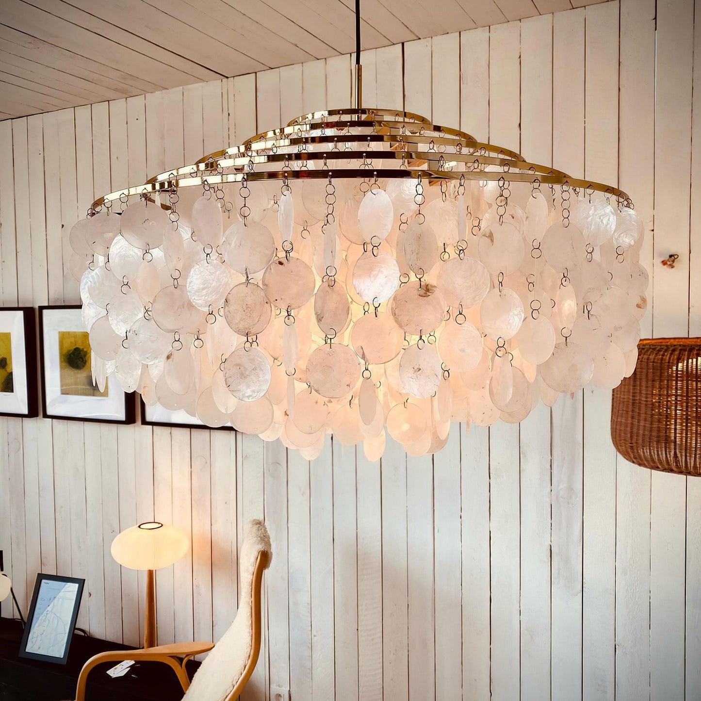 Round Shell Pendant light Chandelier