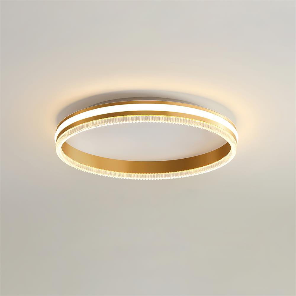 Simple Acrylic Ring Overhead light Ceiling Light