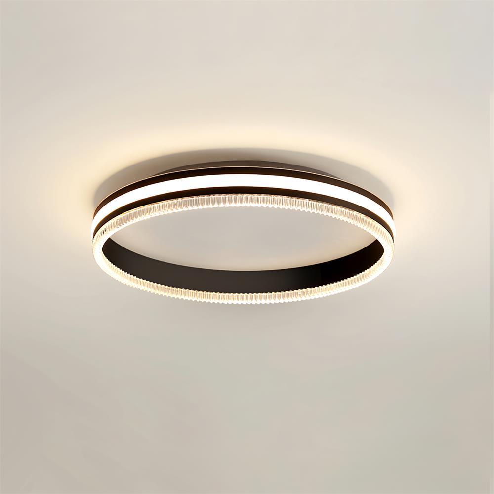 Simple Acrylic Ring Overhead light Ceiling Light