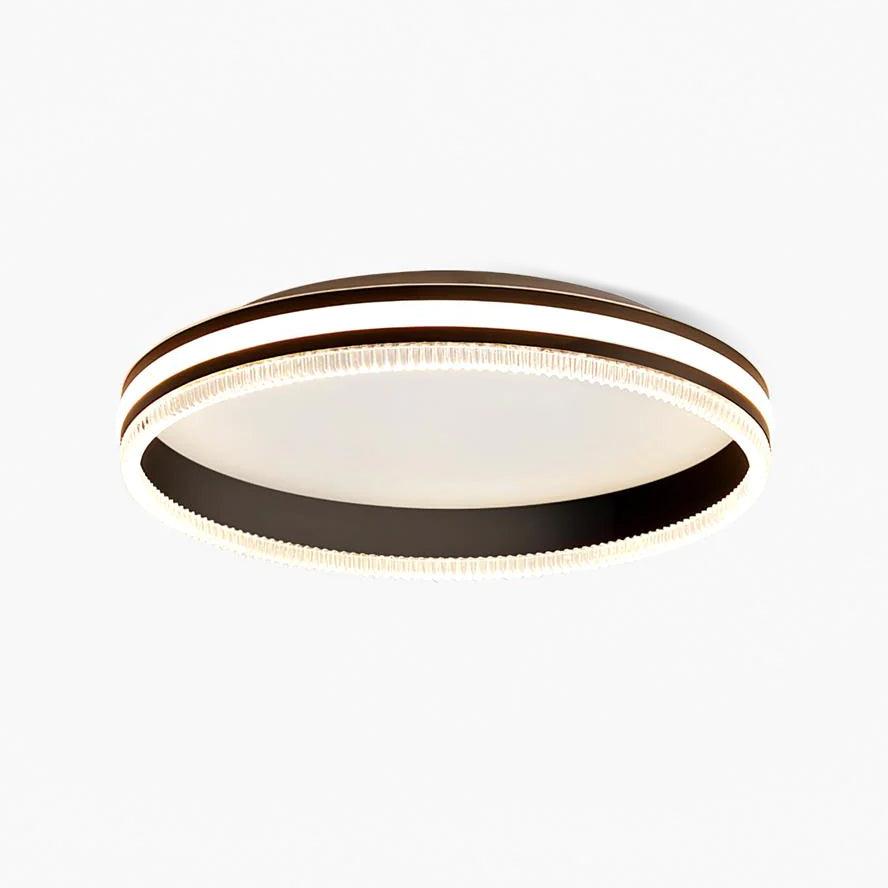 Simple Acrylic Ring Overhead light Ceiling Light