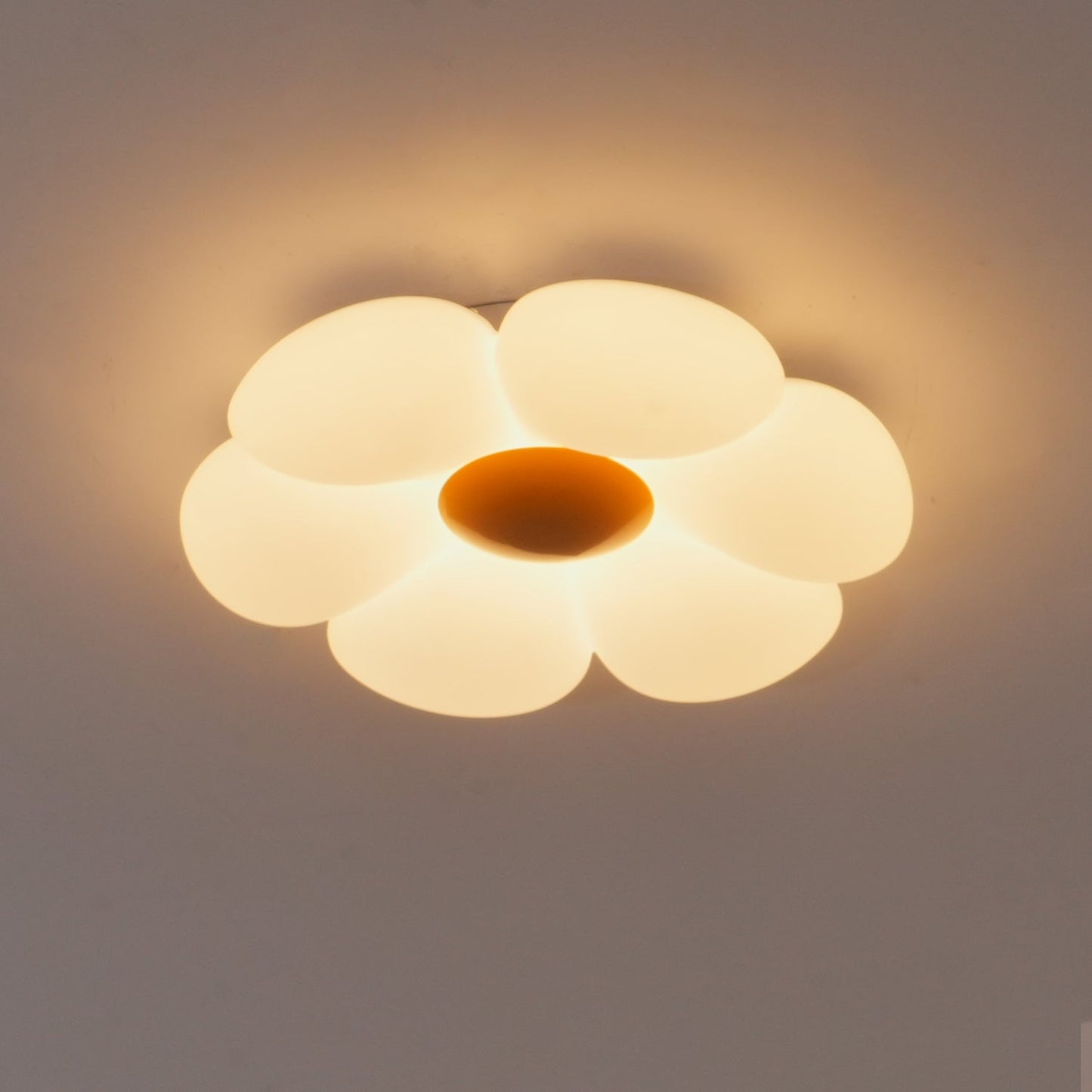 Six-leaf Flower Kids Room Ceiling light Ceiling Lamp