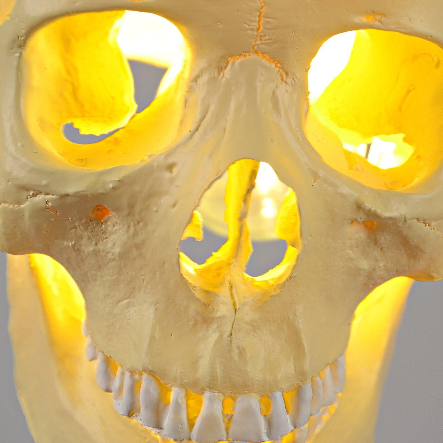 Skull Houselight Pendant Light