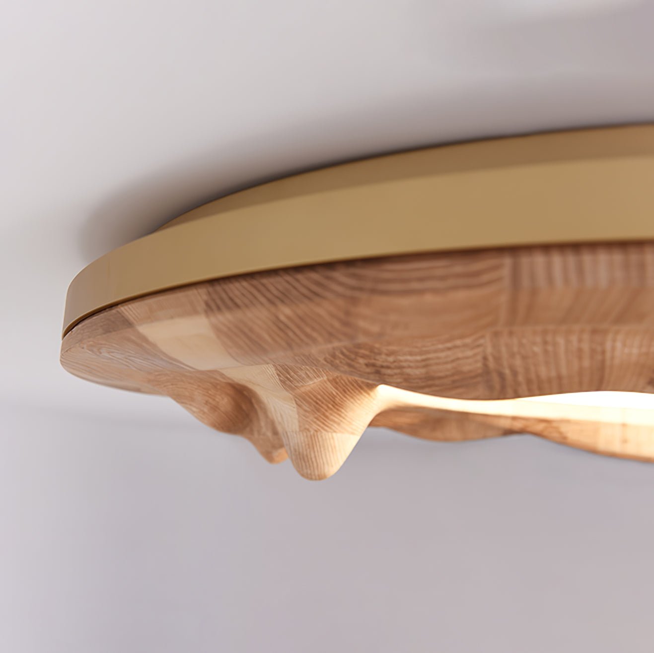 Sky Lake Overhead light Ceiling Lamp