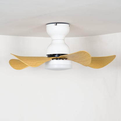 Small Arilia 29" Overhead light Ceiling Fan Light