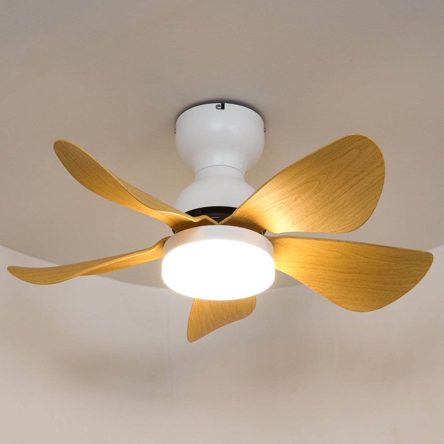 Small Arilia 29" Overhead light Ceiling Fan Light