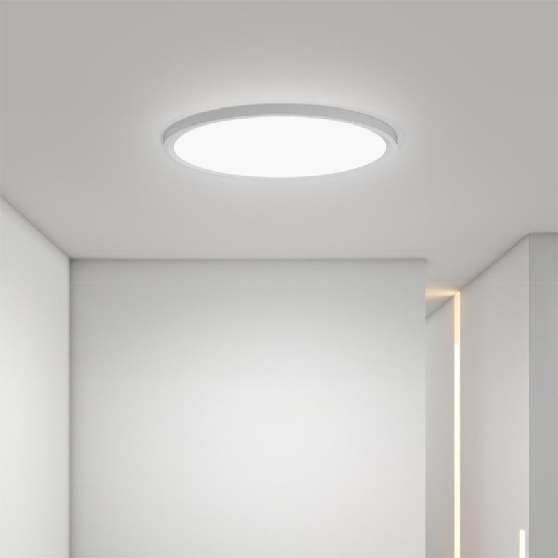 Minimalist Black Circle Industrial Flush Mount Kitchen Lighting Dining Room Lighting Ceiling Light