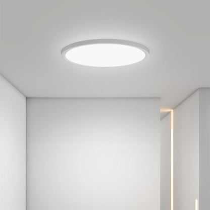 Minimalist Black Circle Industrial Flush Mount Kitchen Lighting Dining Room Lighting Ceiling Light