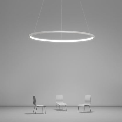 Circle Linear Modern Chandelier Pendant Lights