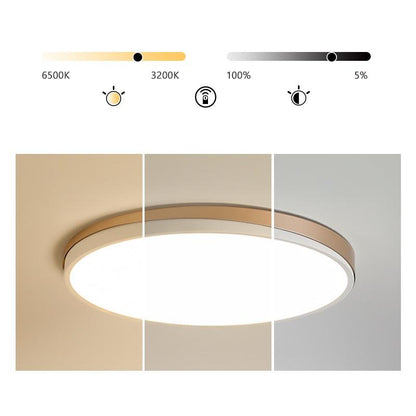 Circle Modern Flush Mount Kitchen Lighting Dining Room Lighting Ceiling Lights