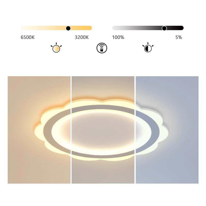 Ultrathin Roundness Flush Mount LED Lights Ceiling Light