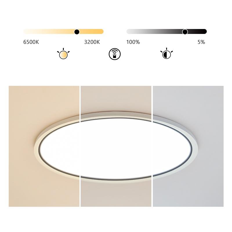 Soft White Round Flush Mount Light