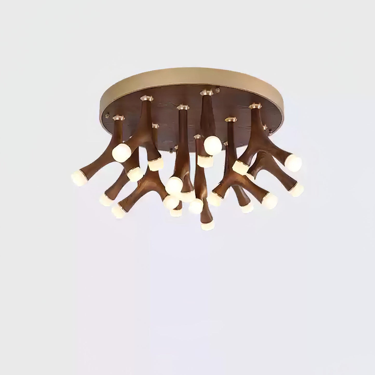 Tentacle Ceiling-mounted light Ceiling Lamp