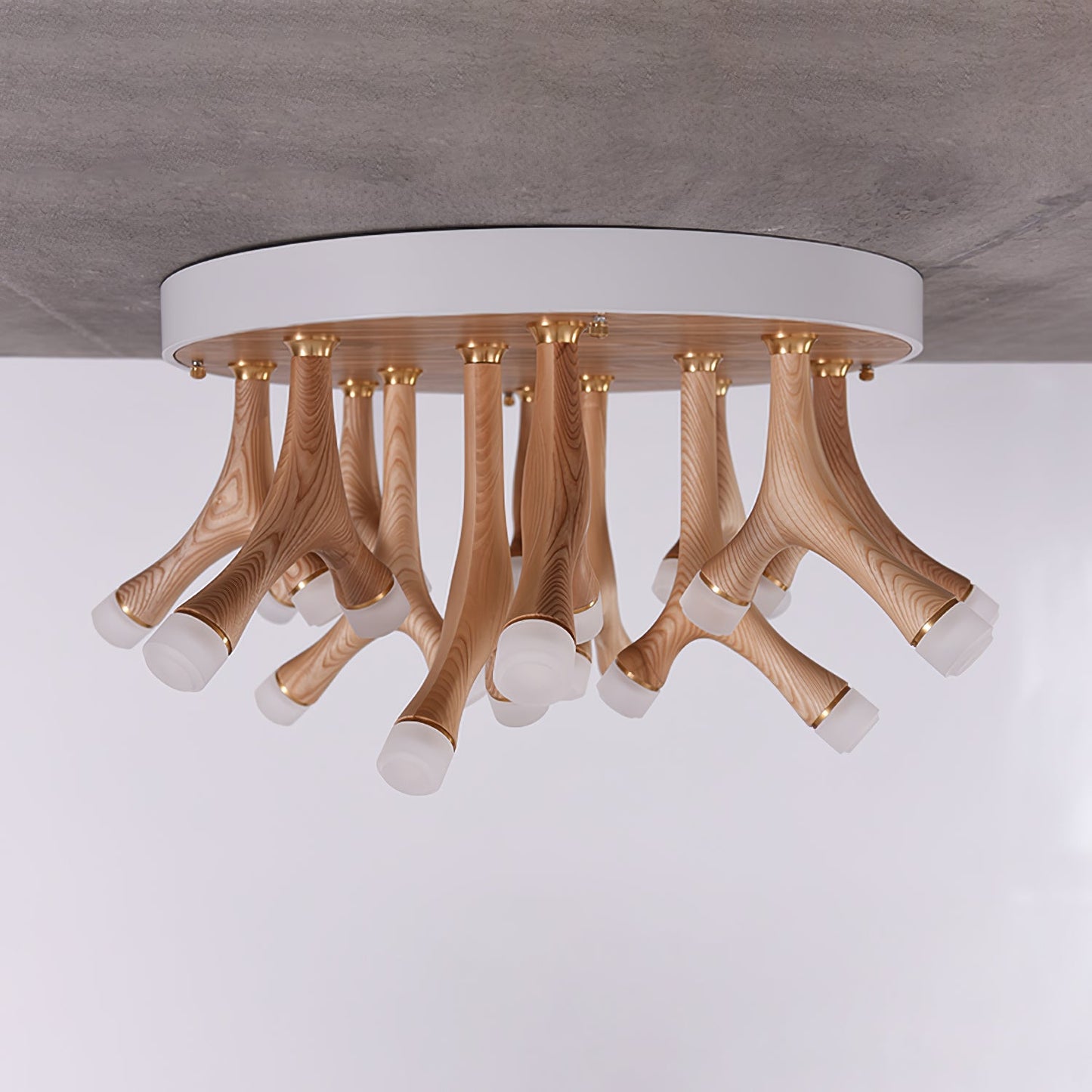 Tentacle Ceiling-mounted light Ceiling Lamp