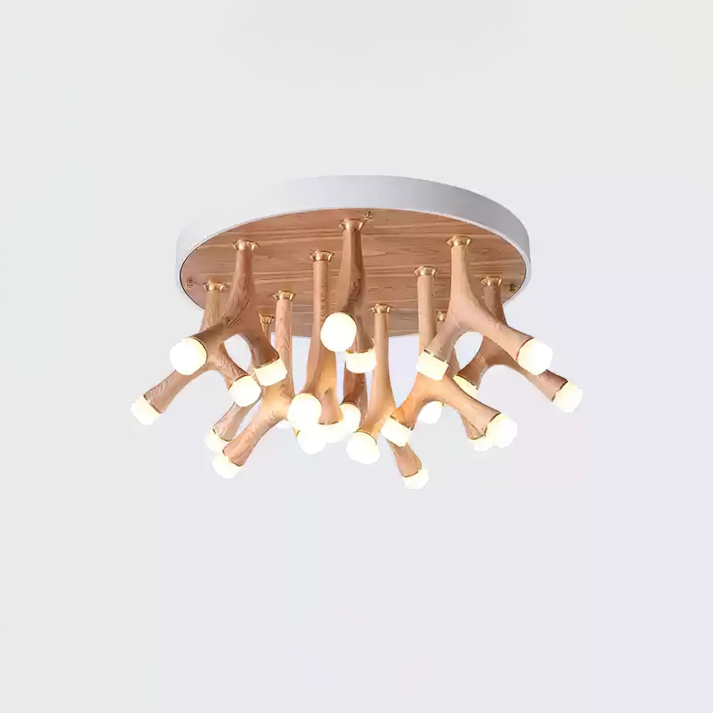 Tentacle Ceiling-mounted light Ceiling Lamp