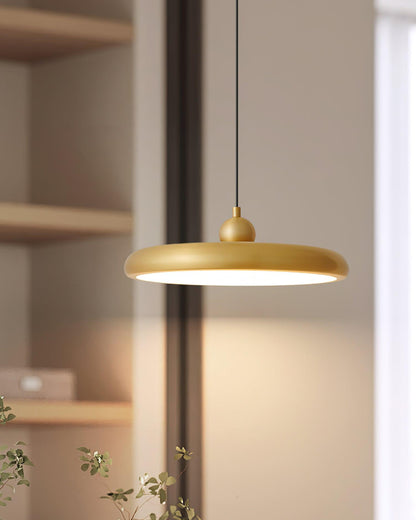 Thin Disc Drop light Pendant Lamp