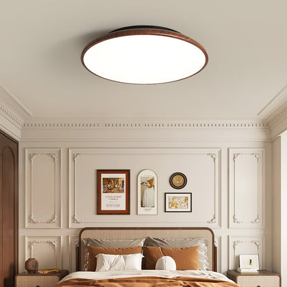 Thin Geometry Shape Ceiling fixture Ceiling Lamp