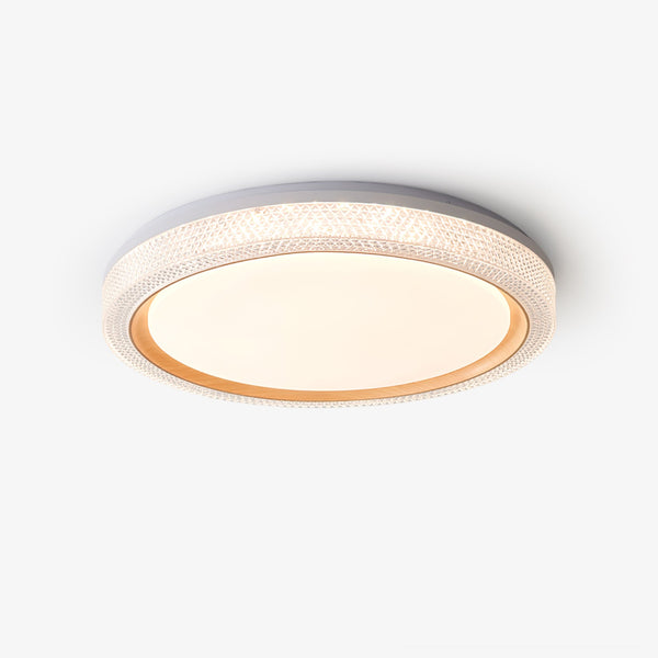 Thin Round Ceiling-mounted light Ceiling Lamp