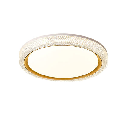 Thin Round Ceiling-mounted light Ceiling Lamp