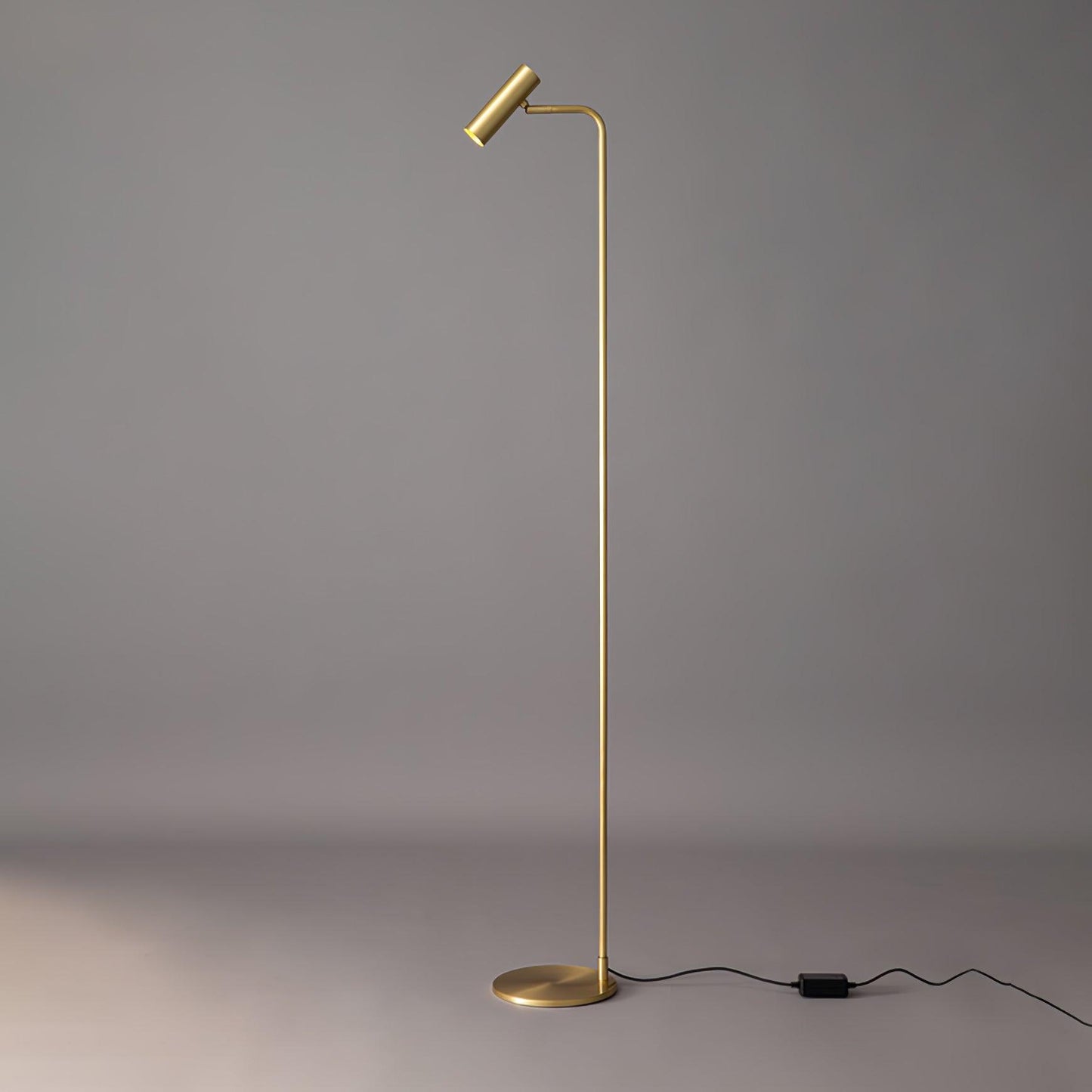 Torris Reading Lamp Floor Lamp