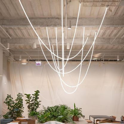 Flexible Curve Hanging light Pendant Lamp