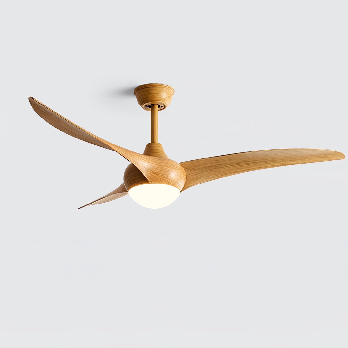 Traditional Ceiling fixture Ceiling Fan Light