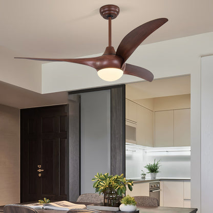 Traditional Ceiling fixture Ceiling Fan Light