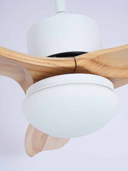 Harborough 3 Ceiling light Ceiling Fan Light