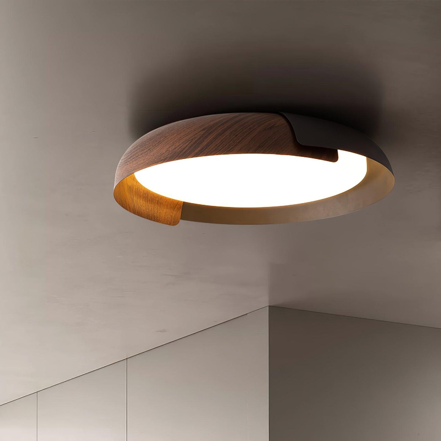 Vikaey Ceiling fixture Ceiling Light