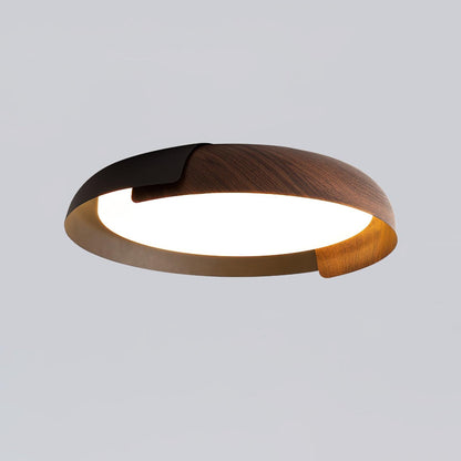 Vikaey Ceiling fixture Ceiling Light