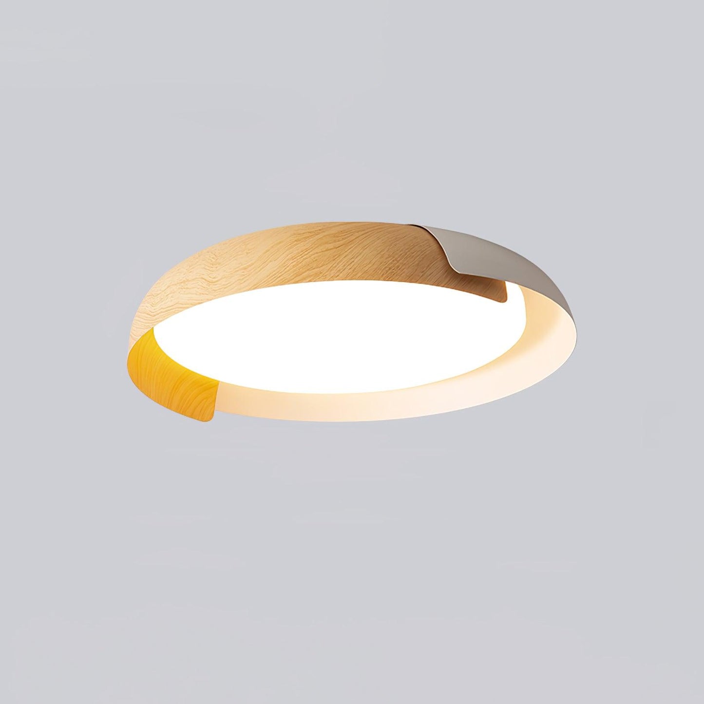 Vikaey Ceiling fixture Ceiling Light