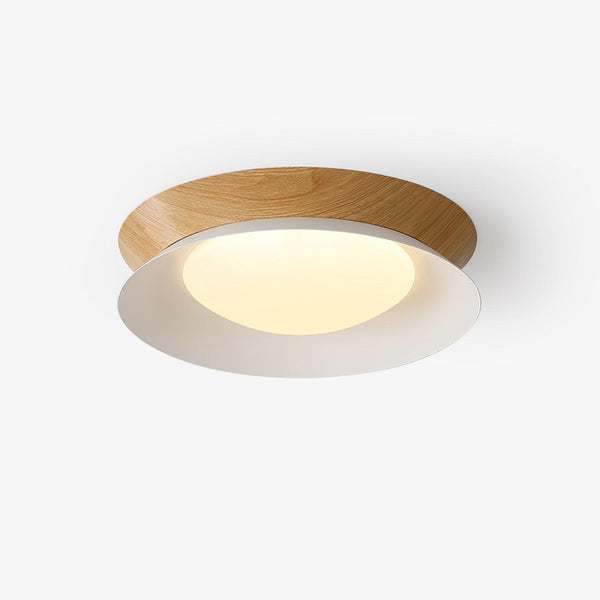 Double Half Round Ceiling-mounted light Ceiling Light