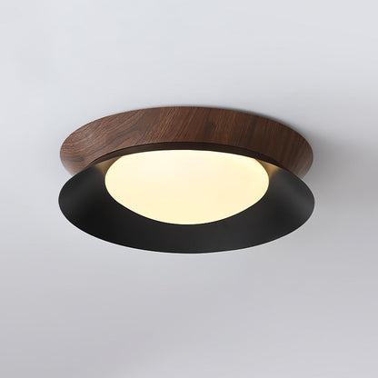 Double Half Round Ceiling-mounted light Ceiling Light