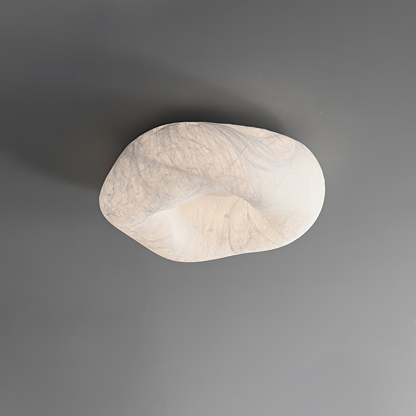 Yunduo Silk Overhead light Ceiling Lamp