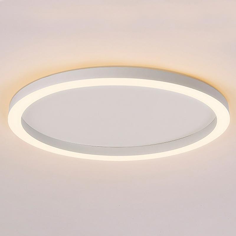 16'' Modern Simple Circle Flush Mount LED Lights Dimmable Ceiling Lights with Remote