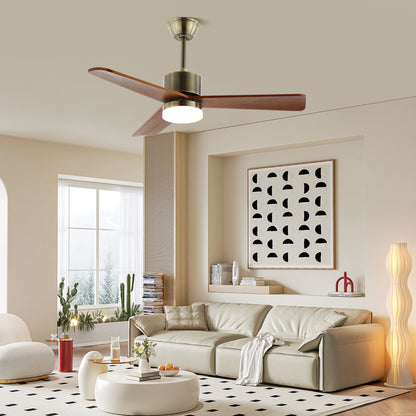 Zephyr Wooden 42"/52" Ceiling light Ceiling Fan Light