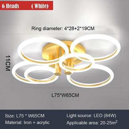 Circular Ring Dimmable LED Modern Flush Mount Lighting Ceiling Lights