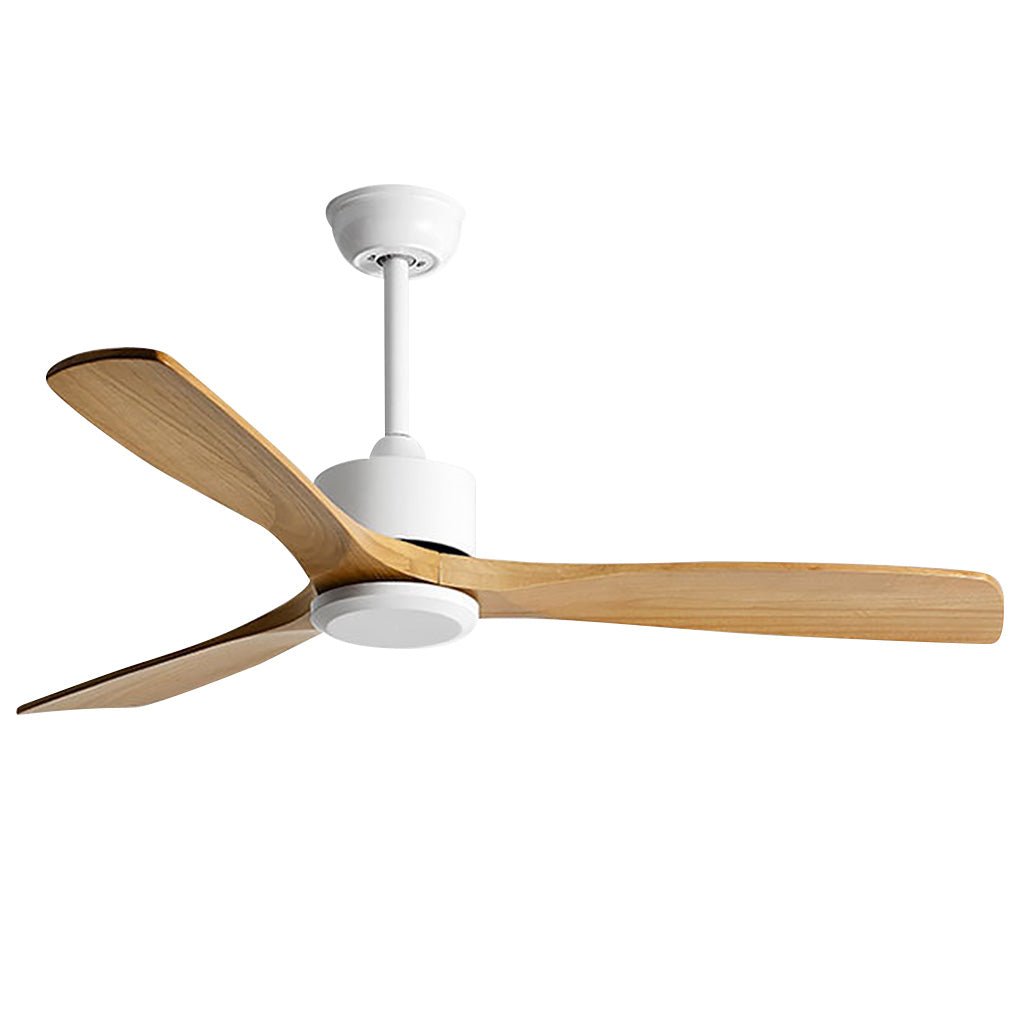 Frequency Conversion, Remote Control, Mute Ceiling Fan with Adjustable Wind Speed