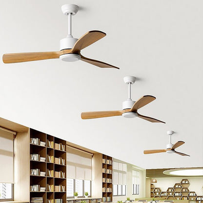 Frequency Conversion, Remote Control, Mute Ceiling Fan with Adjustable Wind Speed